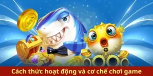 Bí Quyết Chơi Bắn Cá Royal Fishing Tại PK14 Thắng Lớn