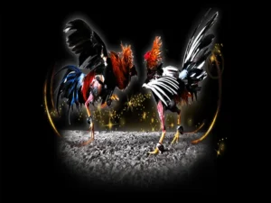 Bí Kíp Chơi Đá Gà Sabong Tại PK14 Thắng Lớn Từ Cao Thủ