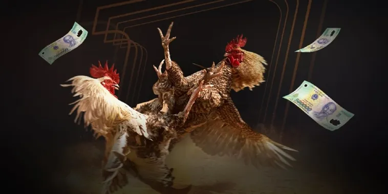 Đá Gà PK14 Trực Tiếp Đấu Trường Máu Lửa Hốt Bạc Tỷ